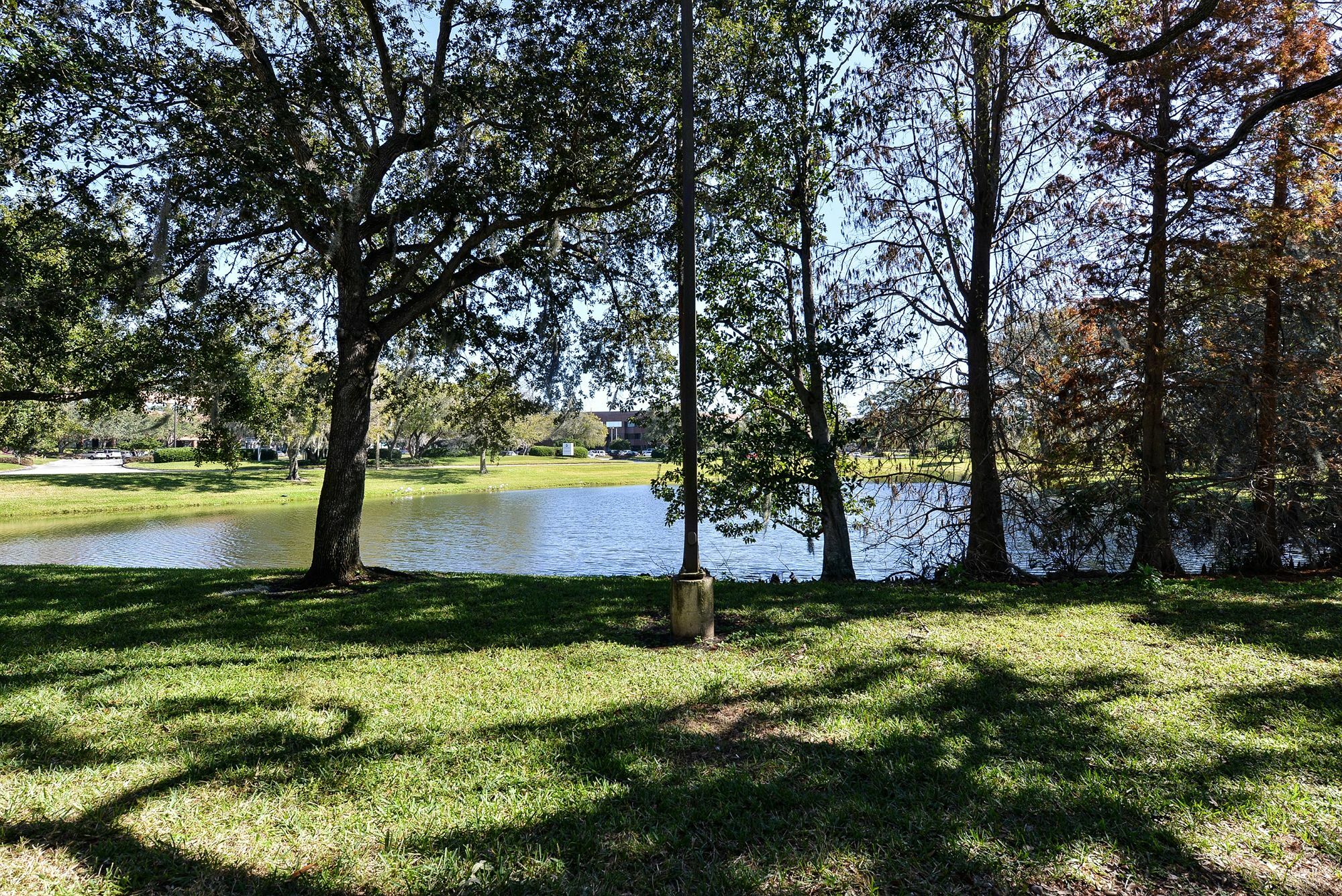 Отель Clarion Pointe Tampa-Brandon Near Fairgrounds And Casino Mango Экстерьер фото